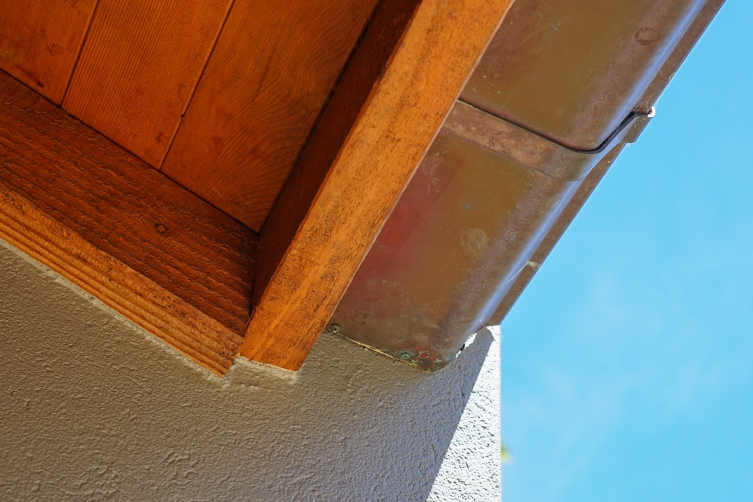 The Ultimate Home Exclusion Checklist for a Bug-Free Life