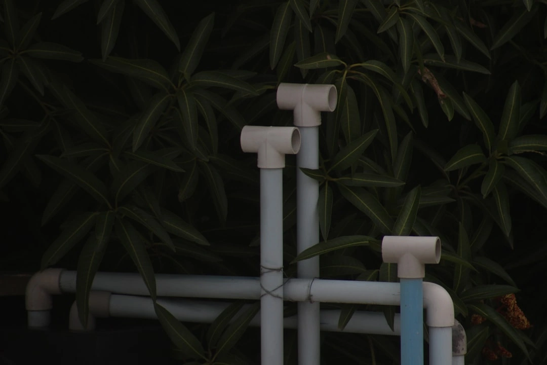Close-up of gaps around outdoor plumbing penetrations that need sealing - how home sealing reduces pest risk Close-up of gaps around outdoor plumbing penetrations that need sealing - how home sealing reduces pest risk
