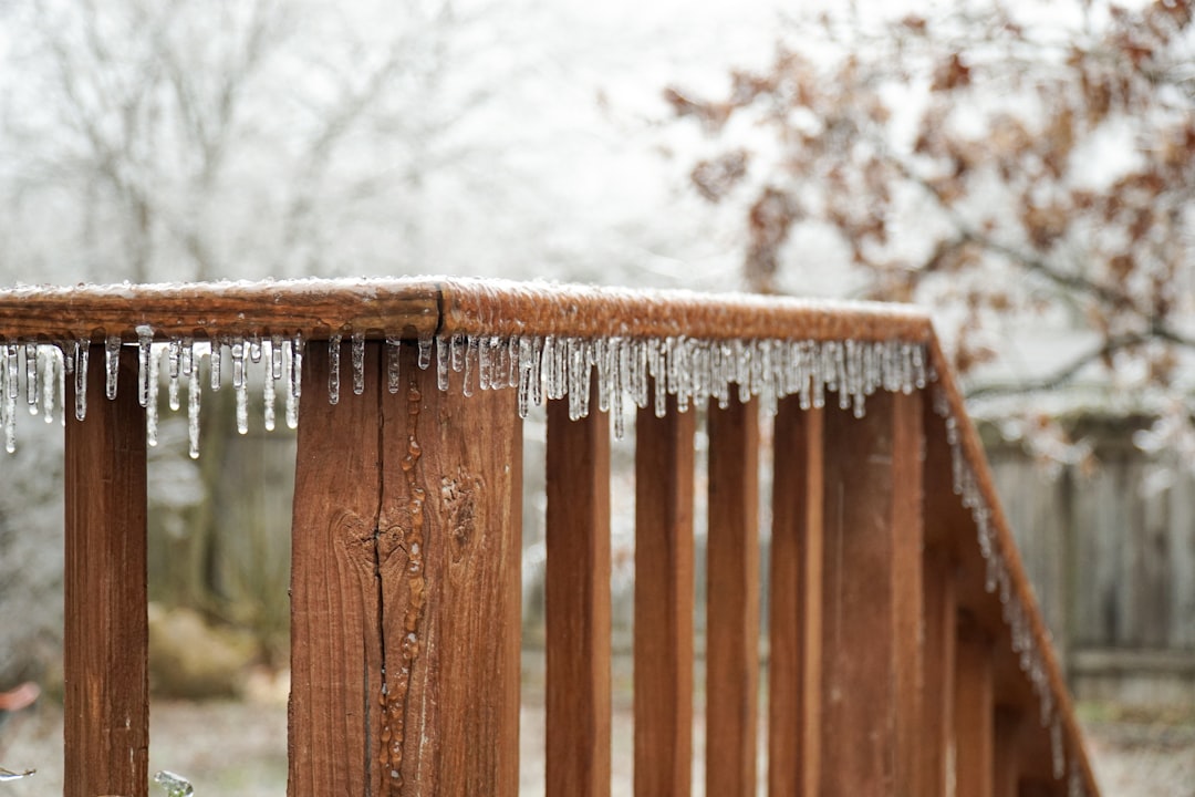 How to Prevent Pests in Winter by Preparing Your Home