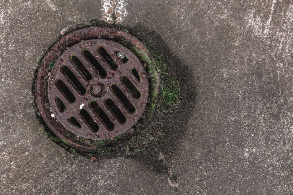 How to Prevent Drain Flies From Coming Back in 5 Steps