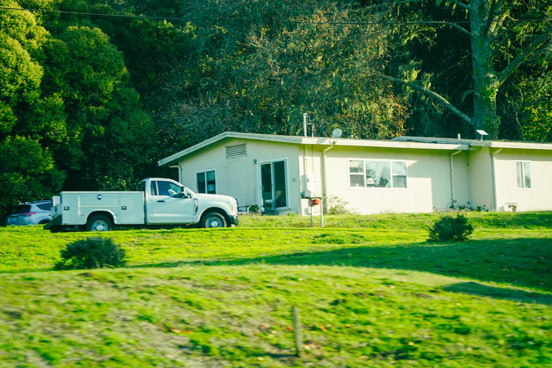 The Complete Guide to How Pest Control Companies Inspect Your Home