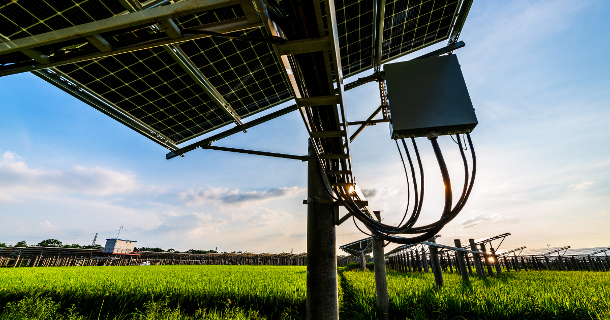 [interface] image of a computer showcasing educational software (for a edtech)