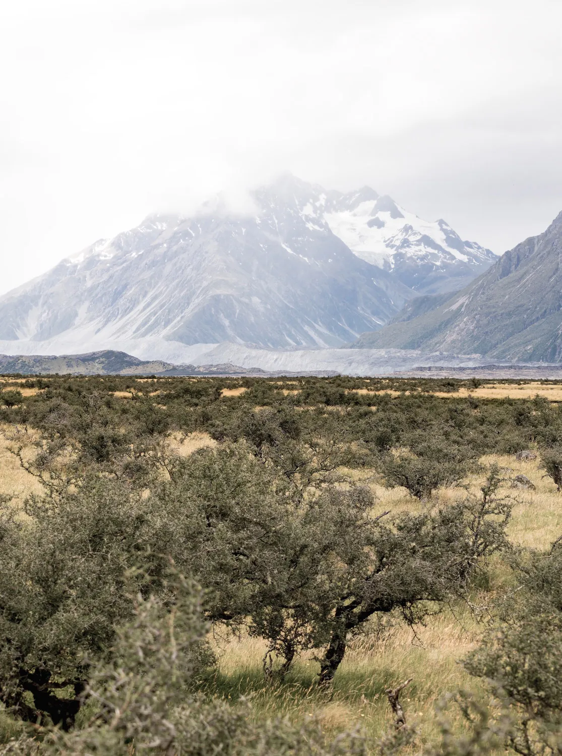 Vor Bergkette liegende Sträucher und Wiesen