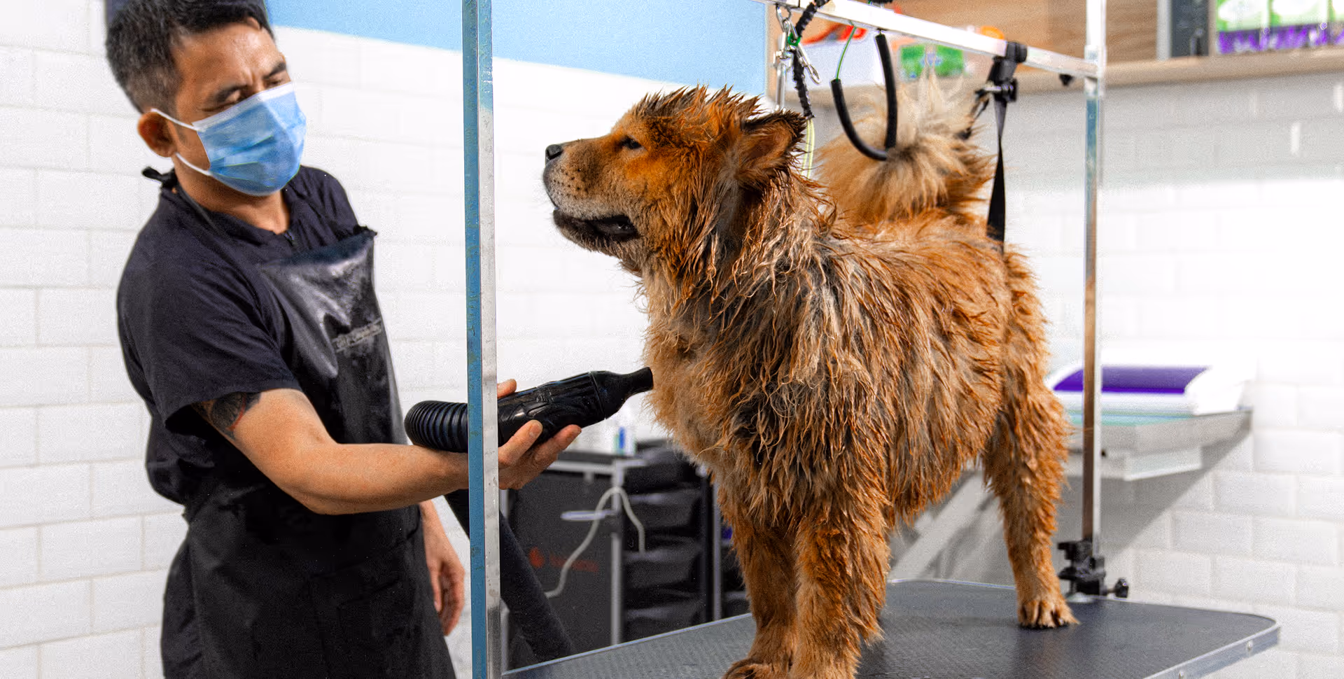 Grooming