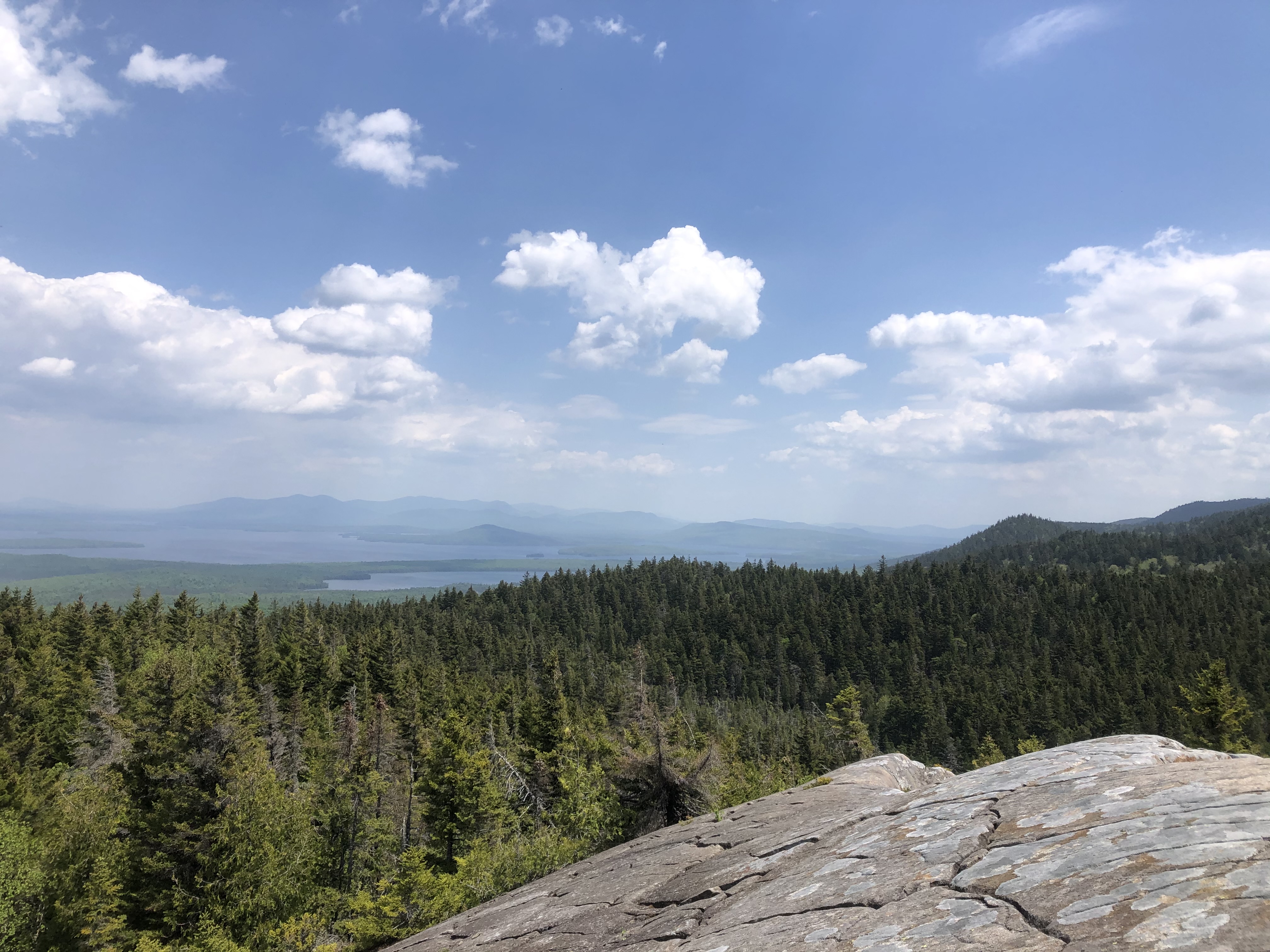 Nature scene: forest and rocks