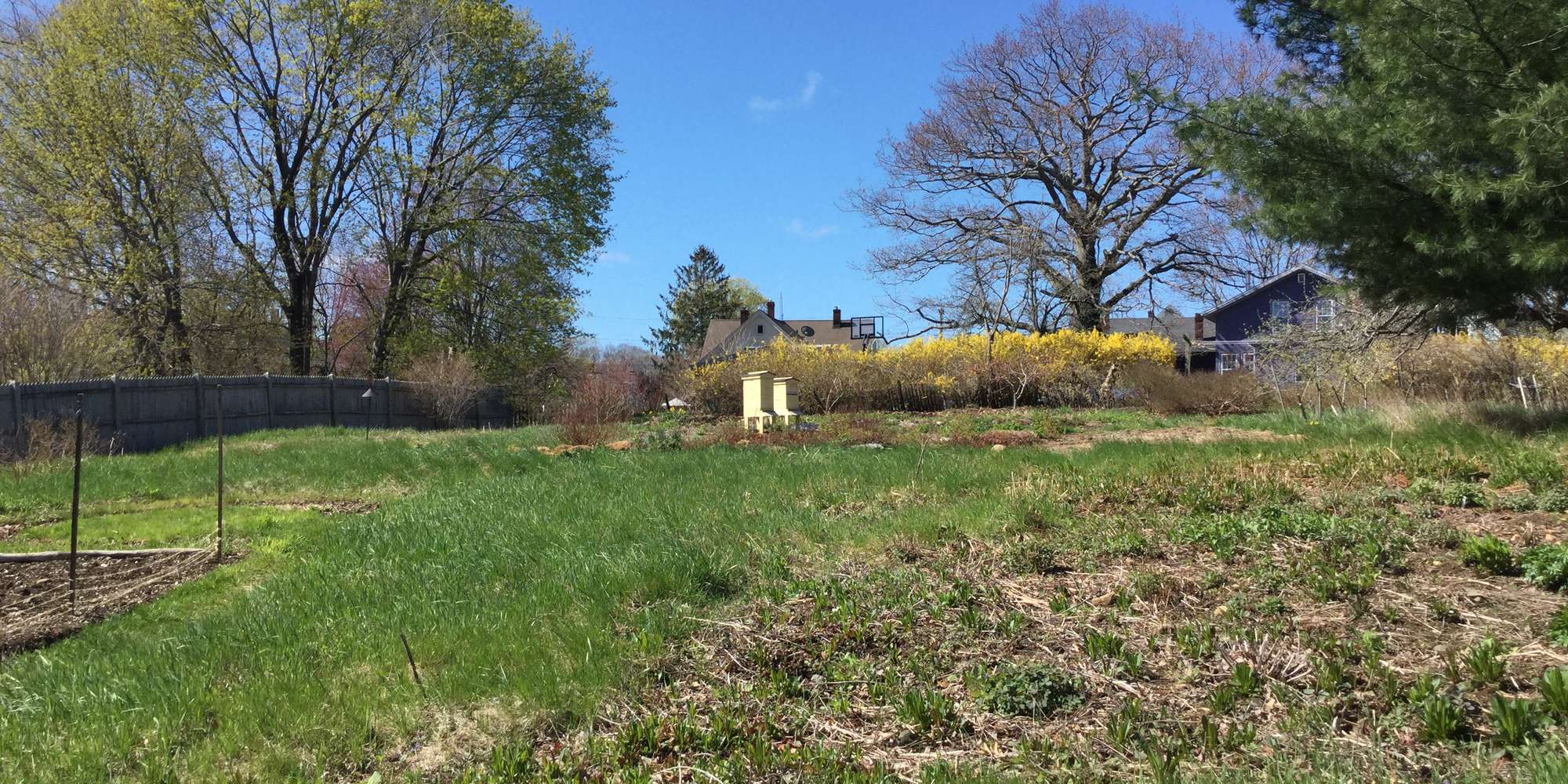 Nature scene: field and farmhouse