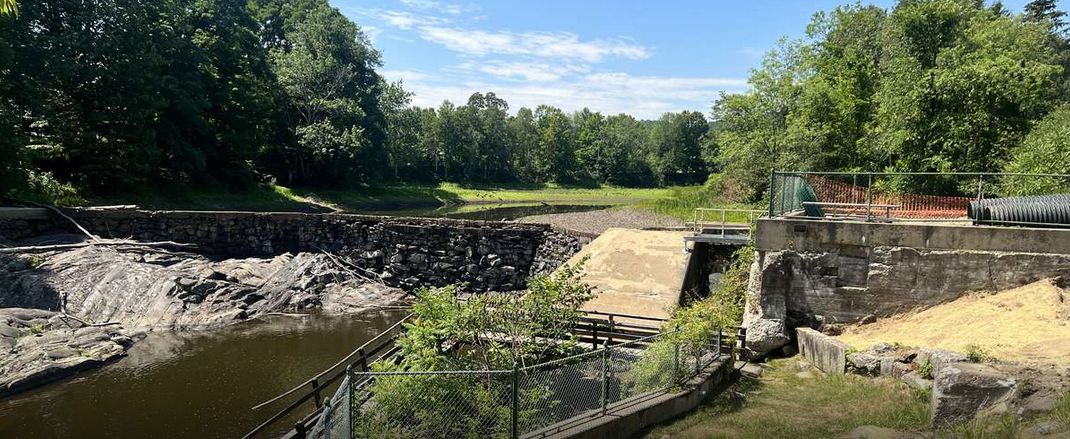Wide view of a dam and trees. 