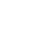 MVP Development