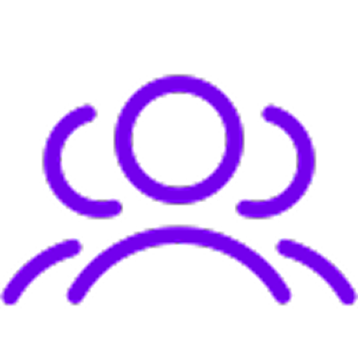 Professional software development Team