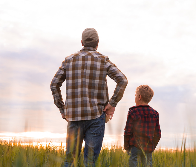 Man and boy standing in a grassy field at sunset, facing away from the camera.