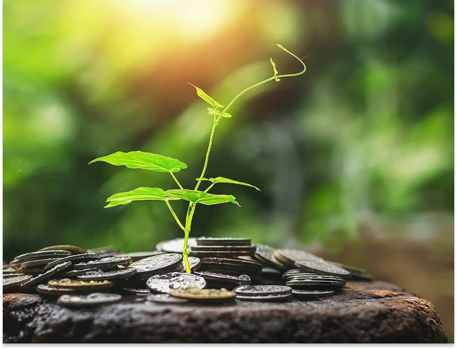 Small green plant sprouting from a pile of coins on a wooden surface with blurred greenery background.
