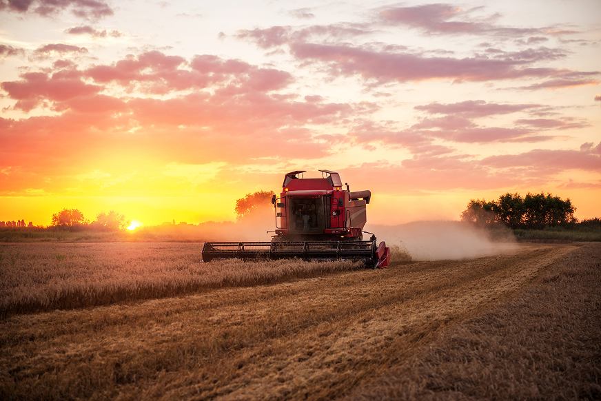 Silhouette of a combine harvester with its lights on working in a field during a colorful sunset.