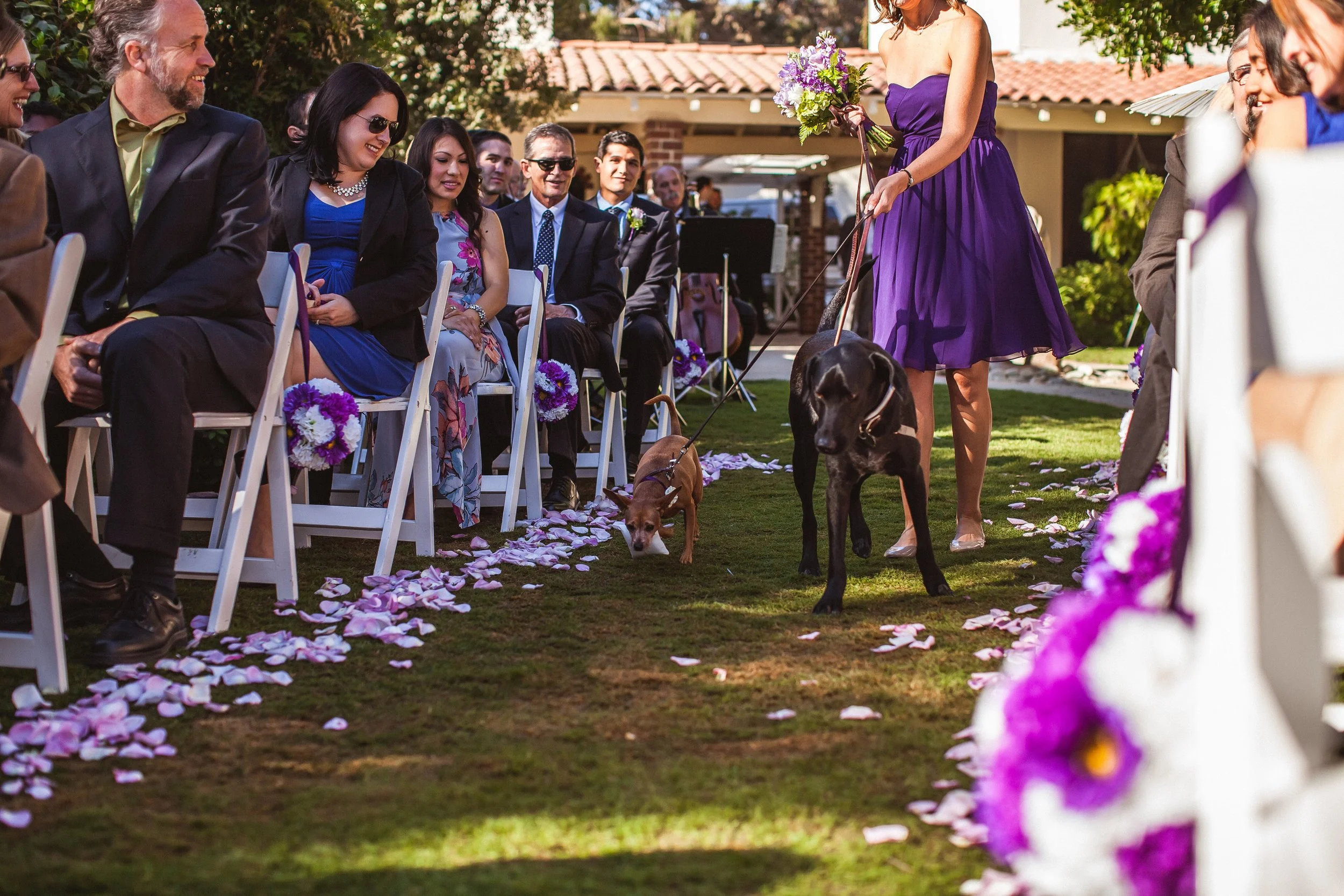 5 Genius Backyard Wedding Hacks That Make All the Difference on Your Wedding Day