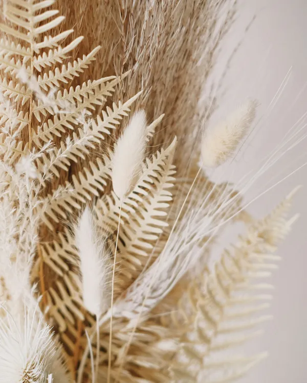 Dead leaves in vase