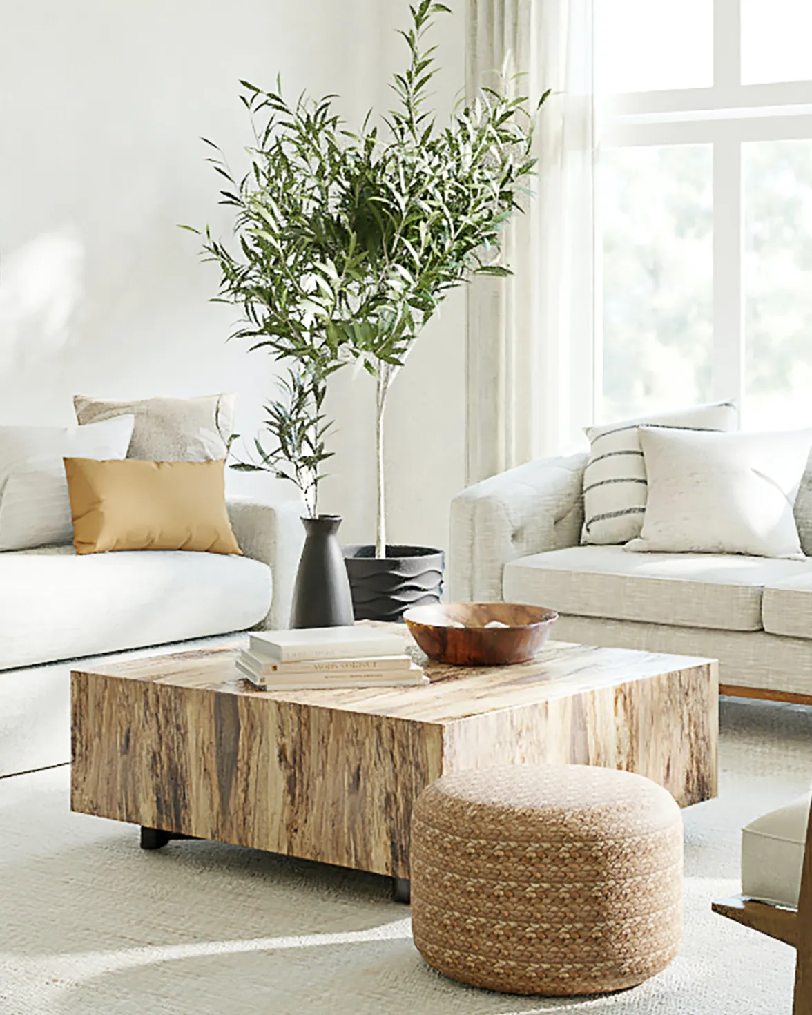 Zoomed in living room with sofa and center plant