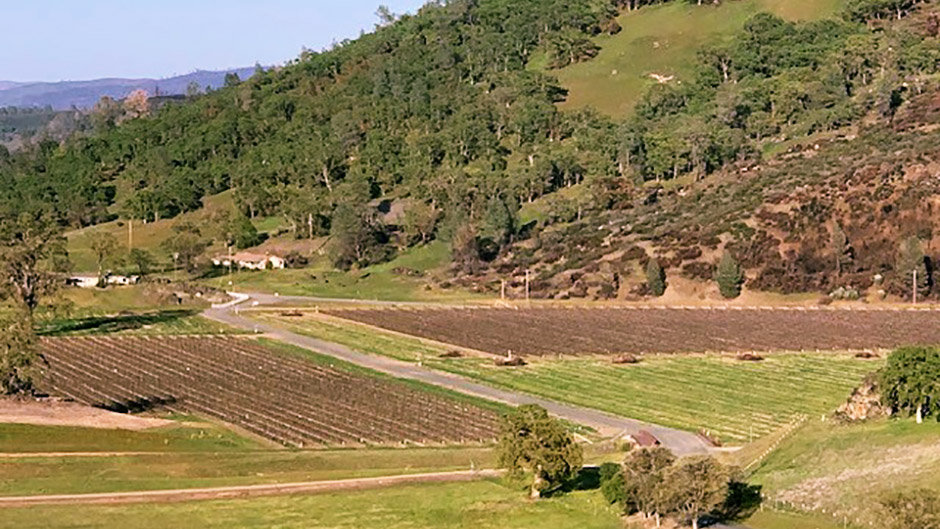 imageLangtryFarms_GenevieveVineyards