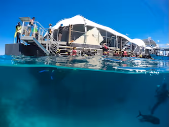 Pontoon viewed from a snorkeller