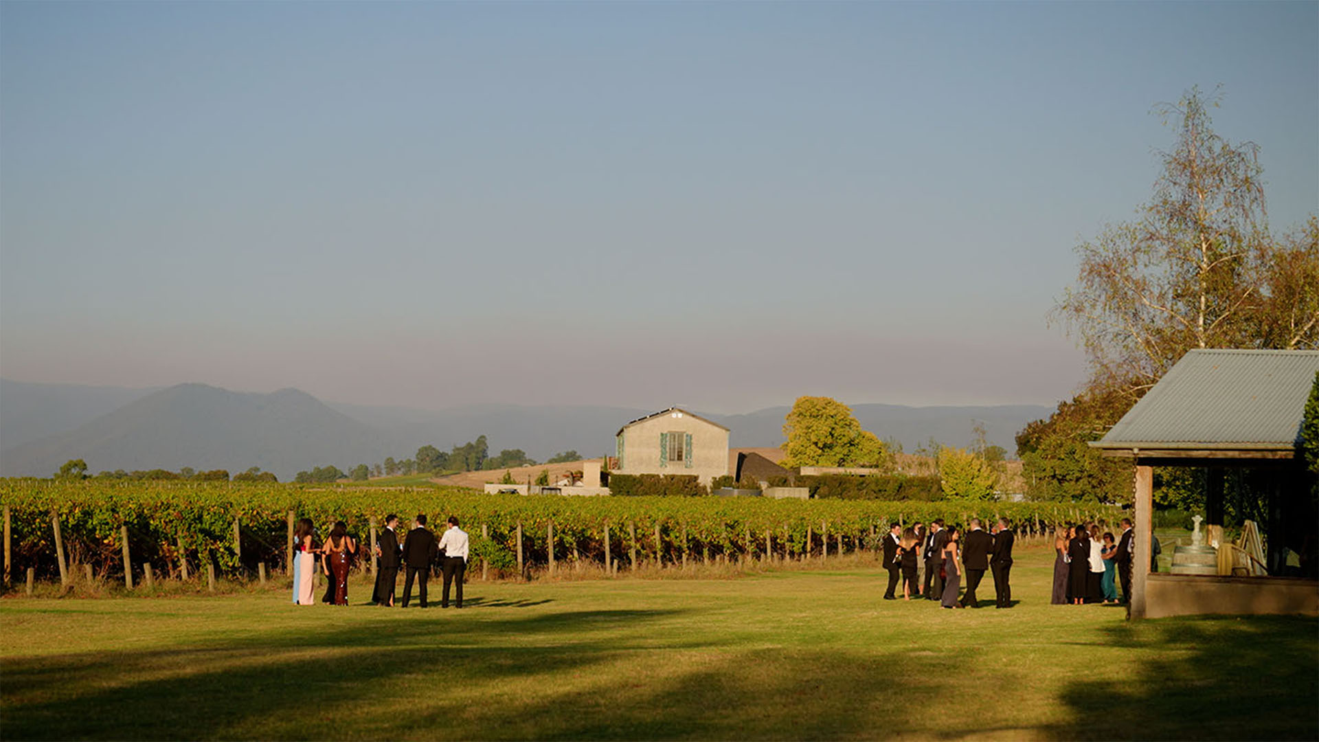 Tuscan-inspired farm views from The Stones Of The Yarra Valley