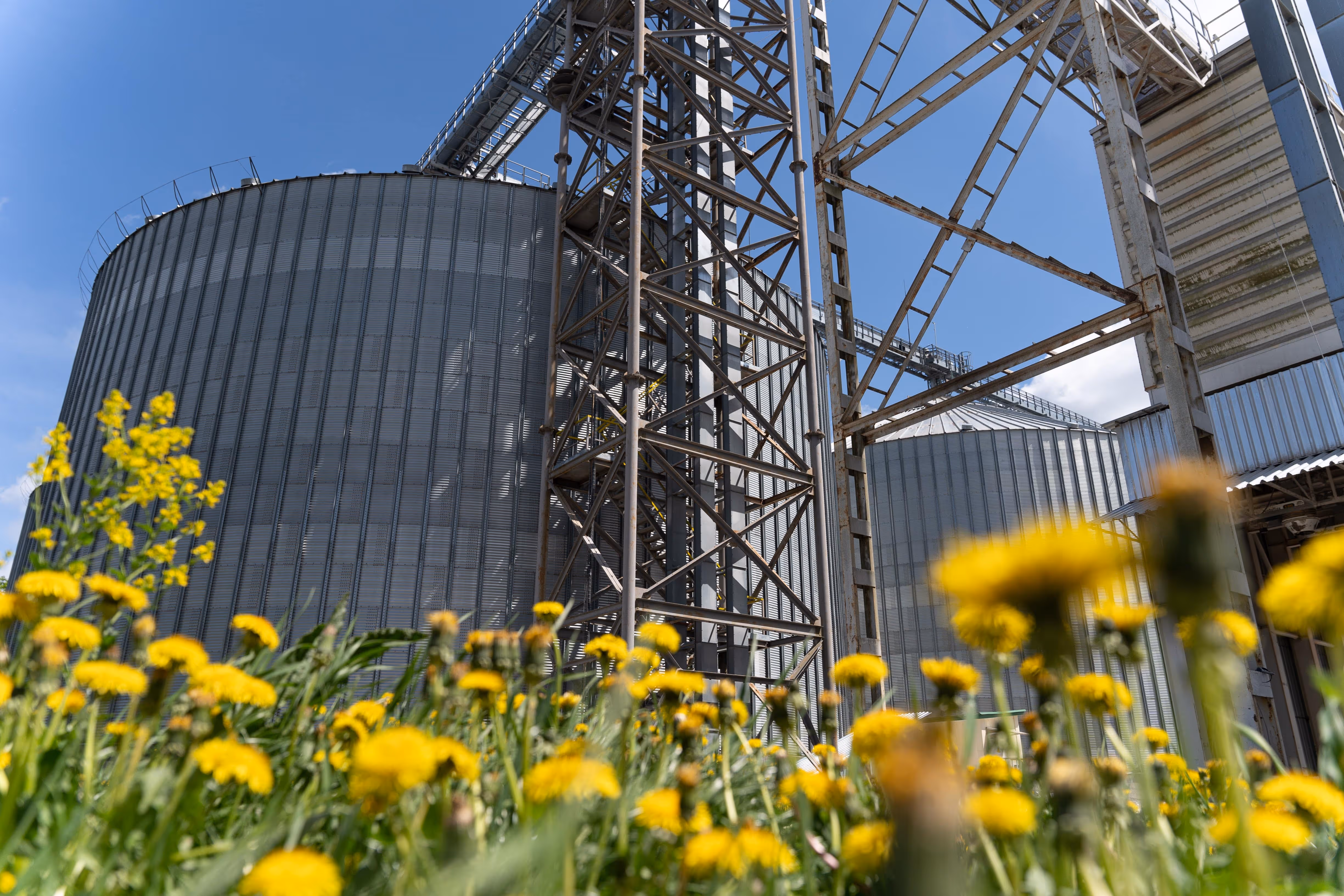 элеватор, цветы