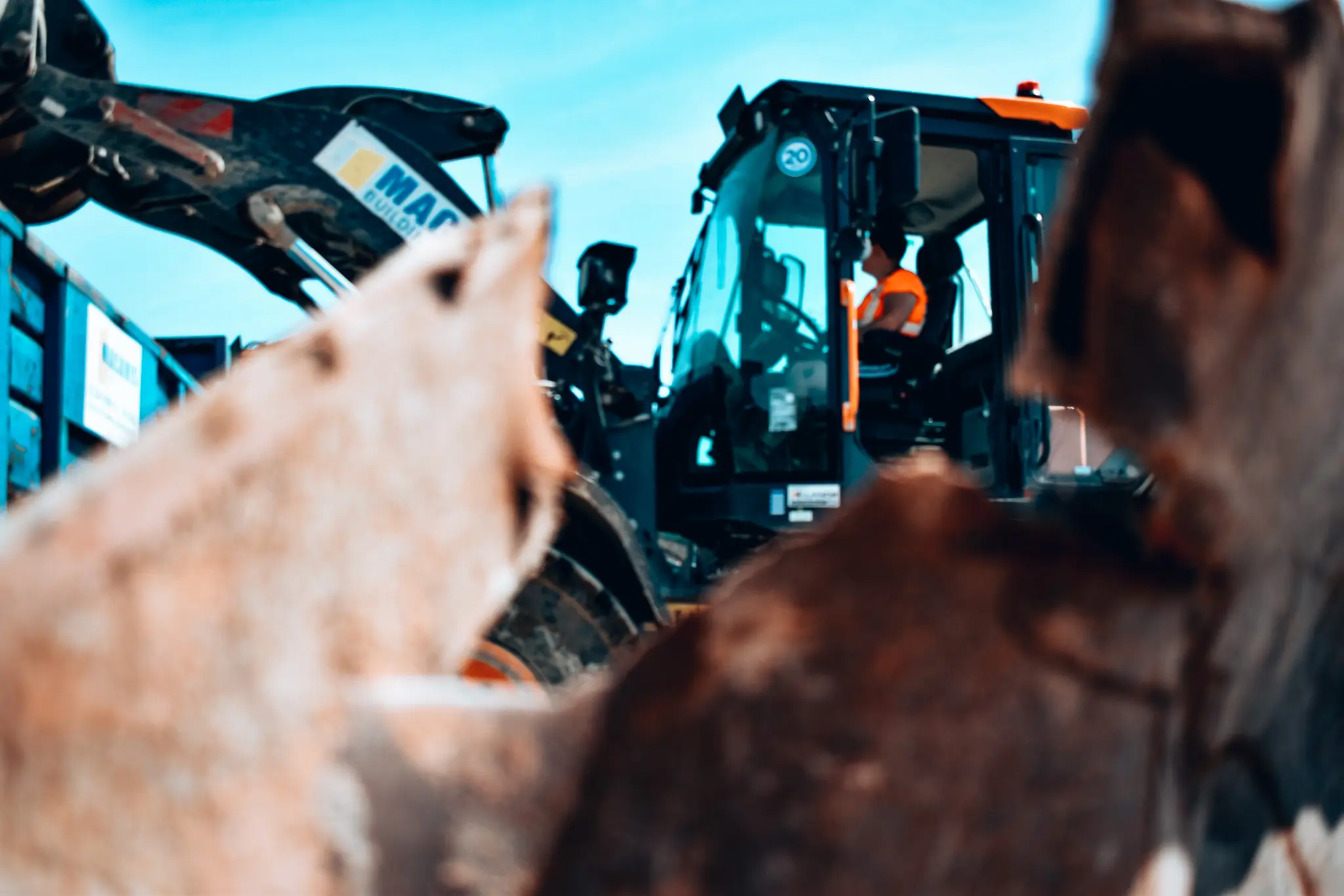 Construction worker operating blue forklift at industrial site