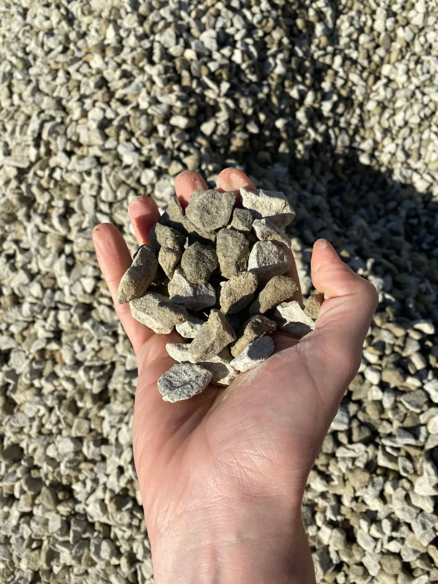 Hand holding small gray and white gravel stones with more stones scattered in background.