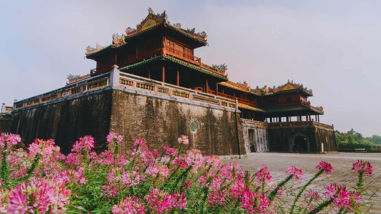 Pink flowers bloom before the ancient stone walls of the Hue Citadel.