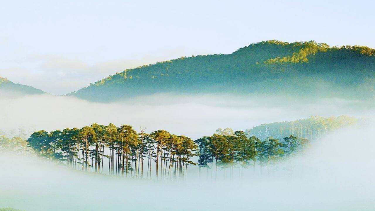 Pine forests emerge from a sea of clouds in Bidoup Nui Ba National Park near Da Lat.