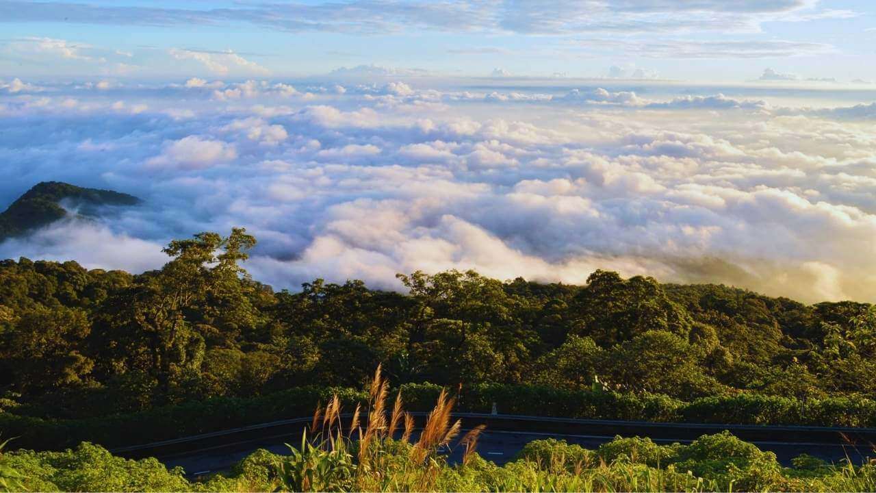 A stunning sea of clouds seen from a mountain viewpoint in Ba Vi National Park, Hanoi.