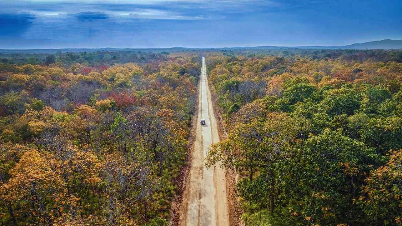 A long safari road through the unique dry forest of Yok Don National Park, Buon Ma Thuot.