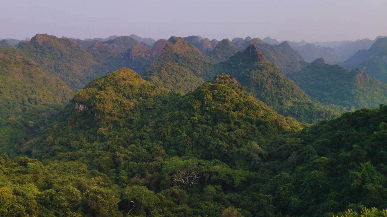 Rolling jungle hills seen from a hiking viewpoint in Cat Ba National Park, Cat Ba Islands.