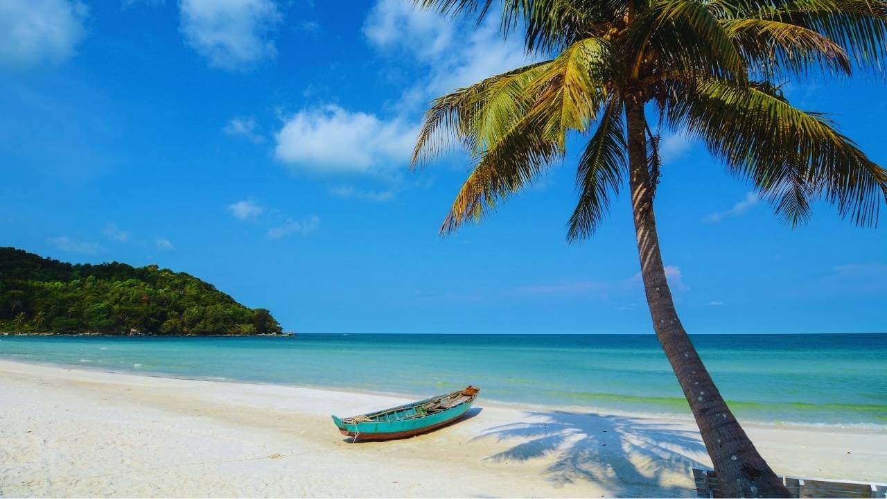 A palm tree and boat on the white sand of Sao Beach, Phu Quoc.