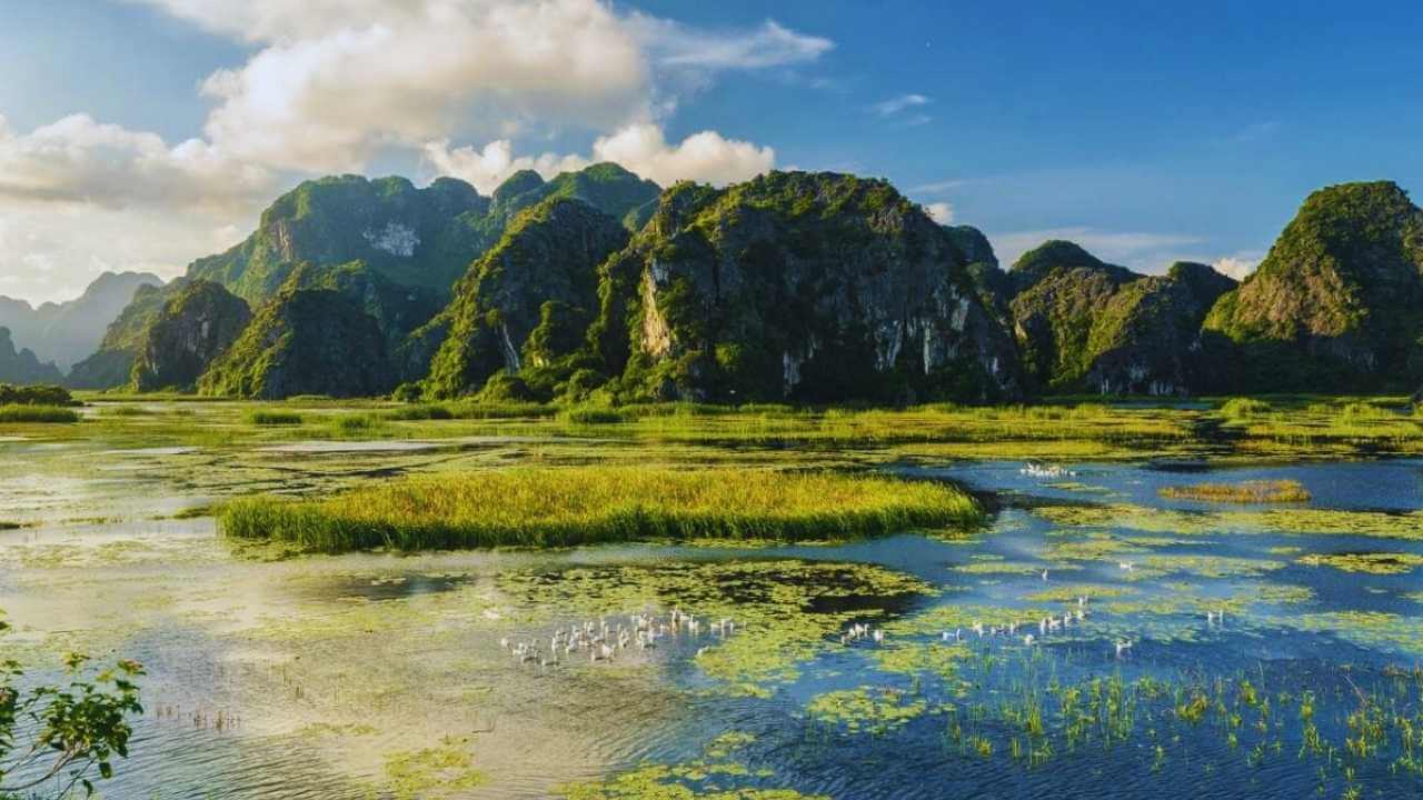 A flock of birds on the tranquil wetlands of Van Long Nature Reserve in Ninh Binh.