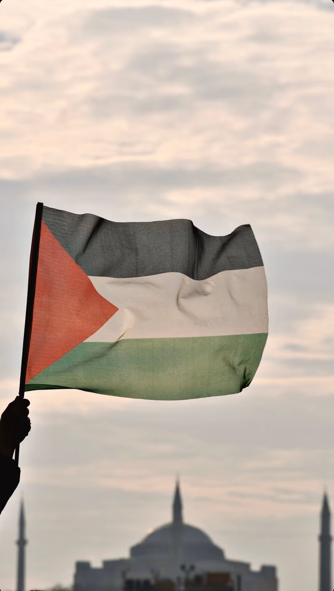 Palestina: storie di attivismo e resistenza