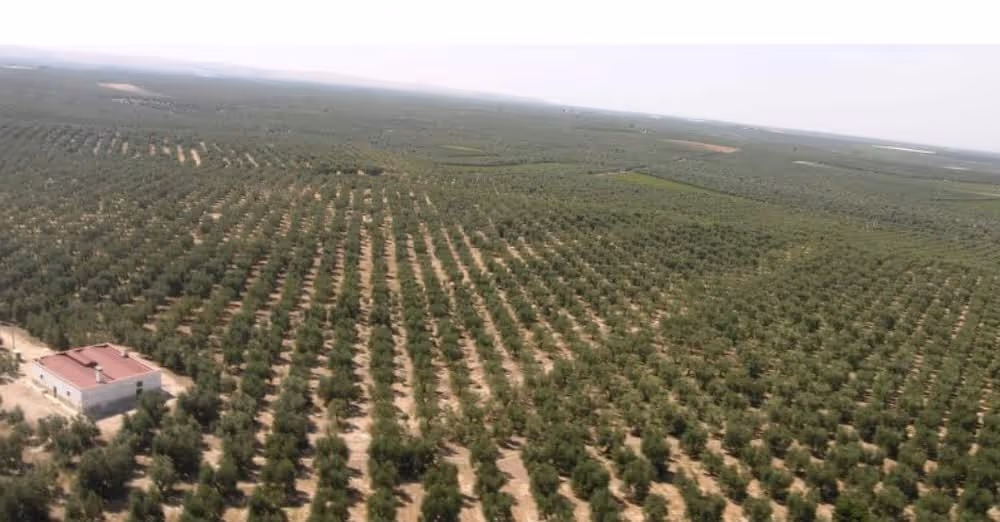 CIBO E CLIMA: nutrirsi in tempi di migrazioni e cambiamento