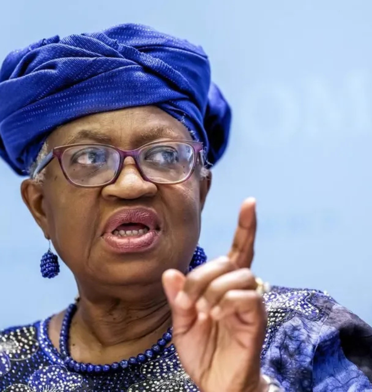 Global Investment Plunges to Financial Crisis Levels, UN Warns in Stark Economic Outlook