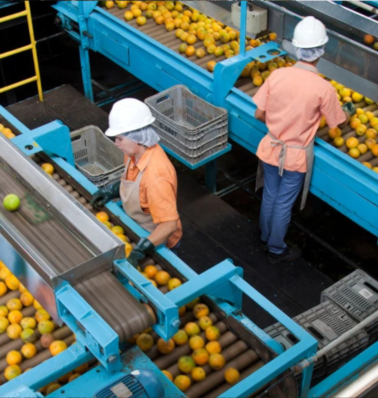 Orange Juice Importer Files Lawsuit Against Trump Administration Over Brazil Tariffs, Warning of Price Hikes at U.S. Supermarkets