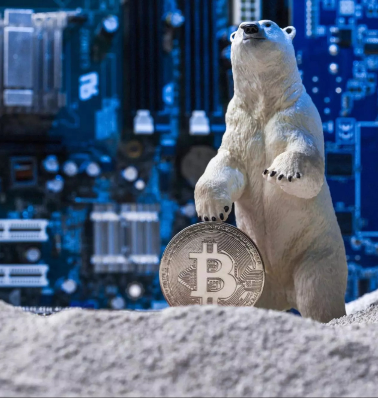 Bearish Sentiment Dominates as Crypto Markets Search for Direction