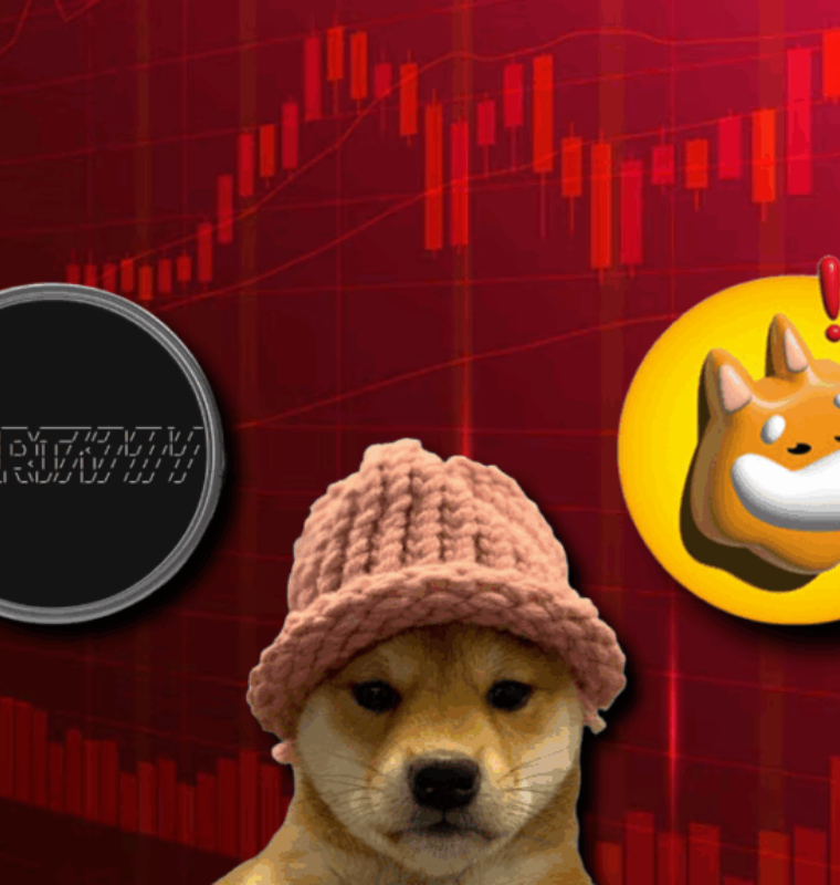 Memecoins Slide as BONK Drops Sharply