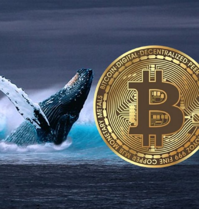 Bitcoin Slides Toward Sixty Five Thousand As Whale Selling Intensifies