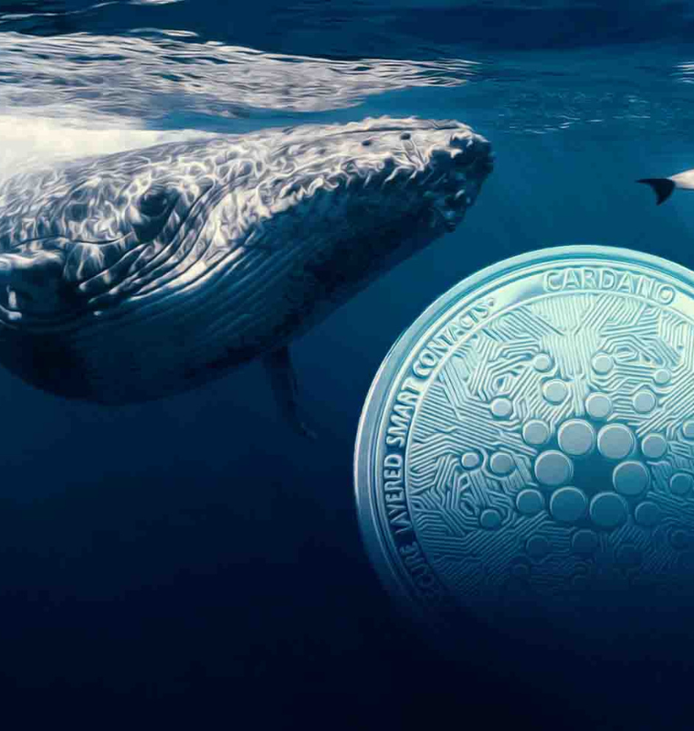 How Cardano Whales May Be Shaping ADA’s Price Action