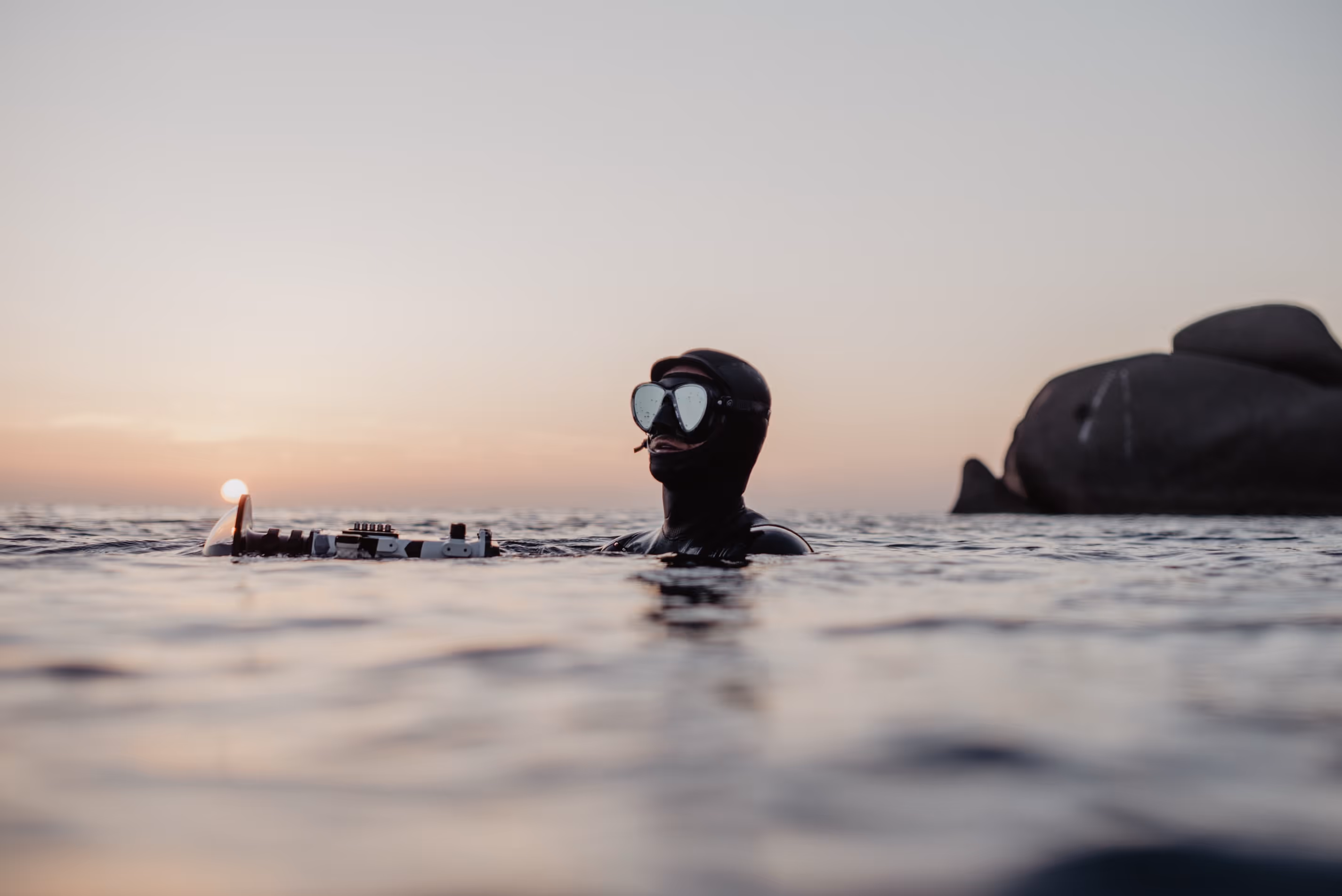 Aalvaa Top Page Banner