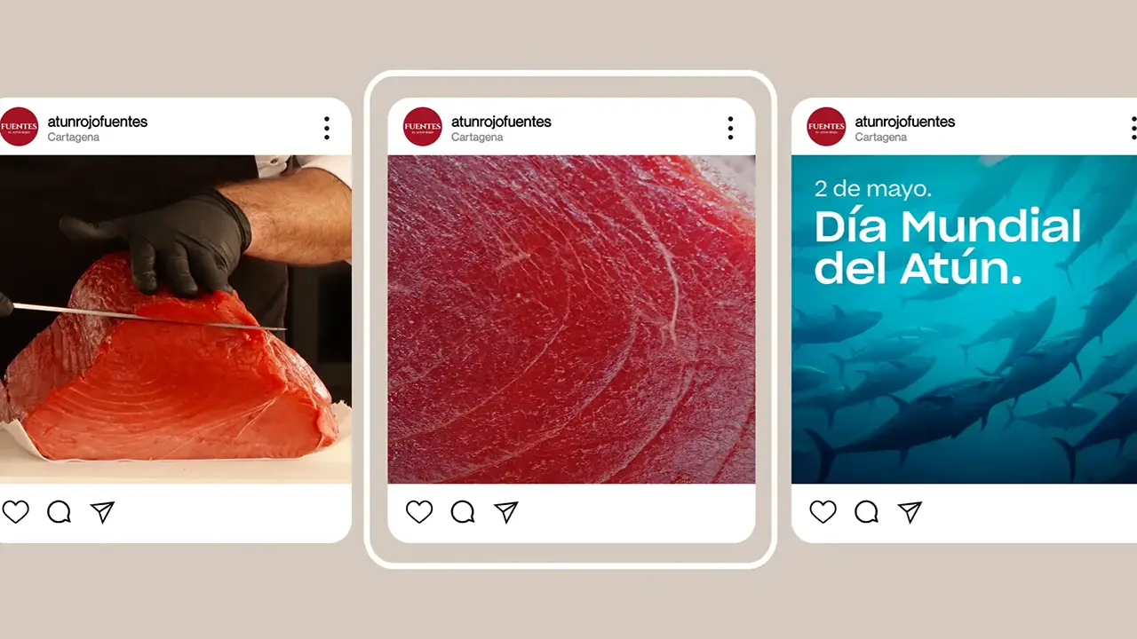 diseño de las interface de instagram