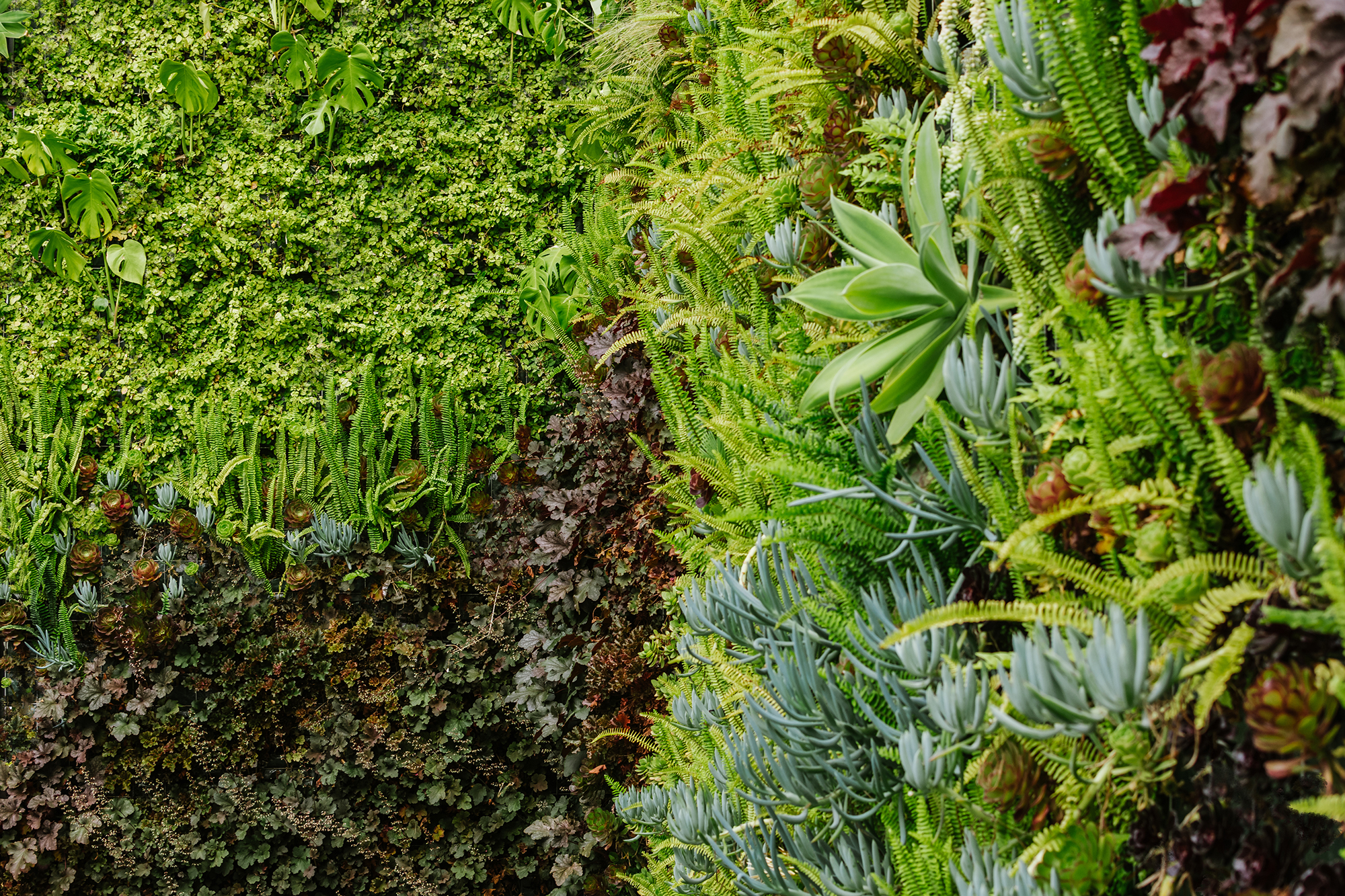 Simbiosi Landscape proyect