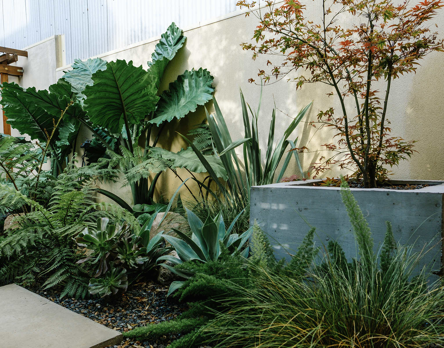 Simbiosi Landscape proyect