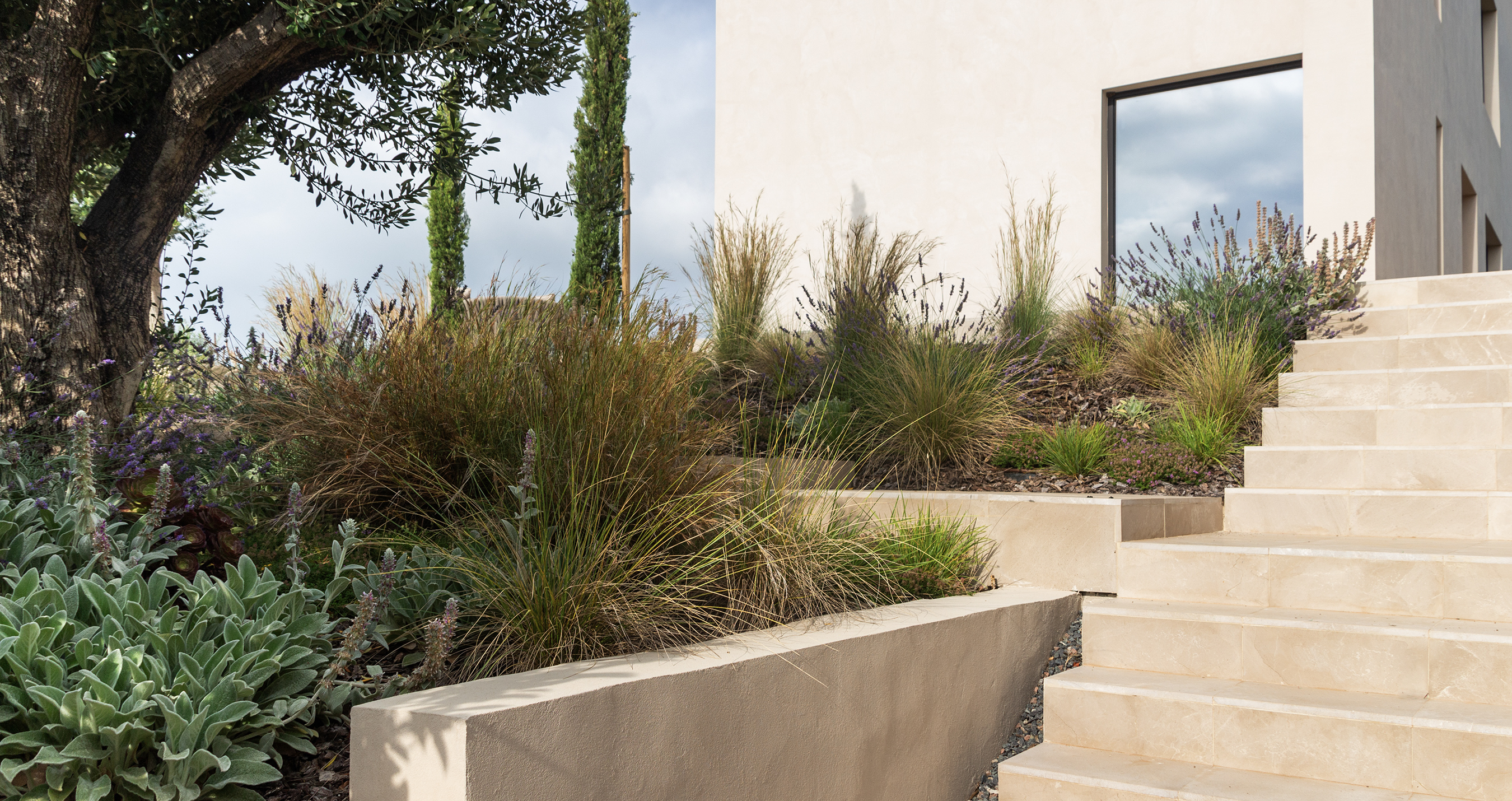 Simbiosi Landscape proyect