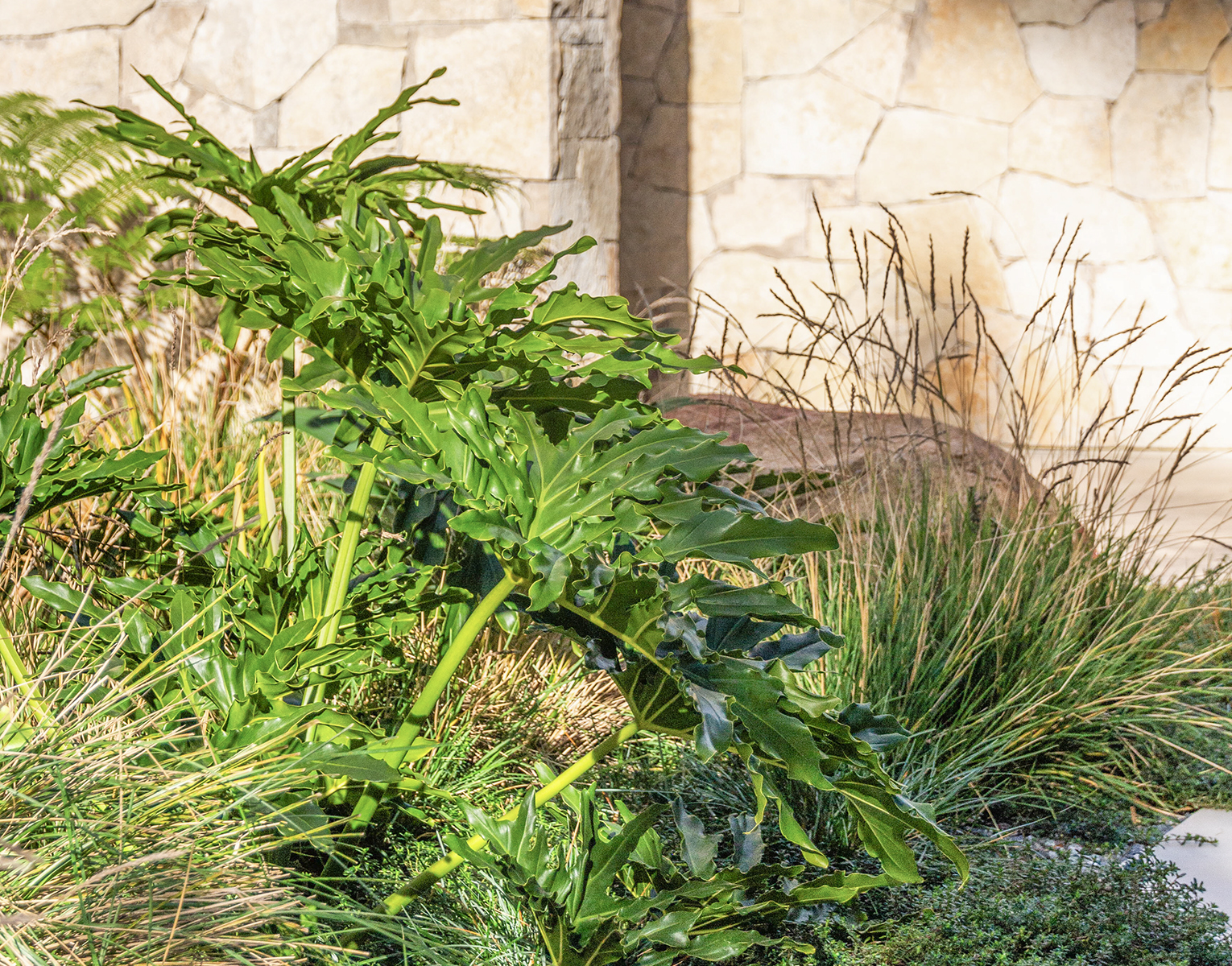 Simbiosi Landscape proyect