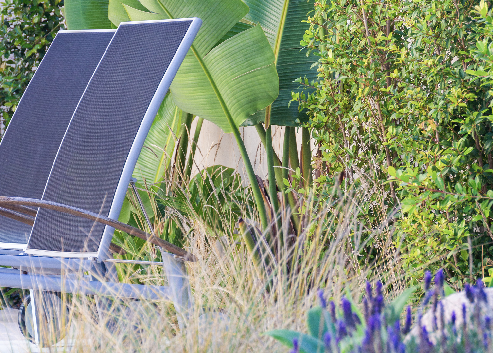 Simbiosi Landscape proyect