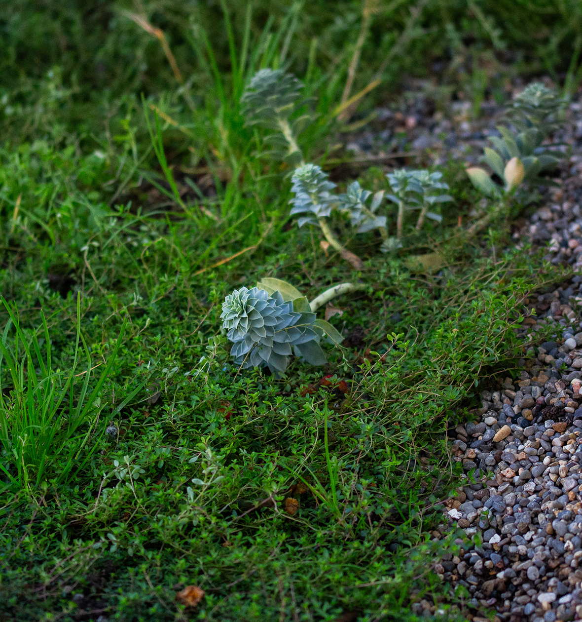 Simbiosi Landscape proyect