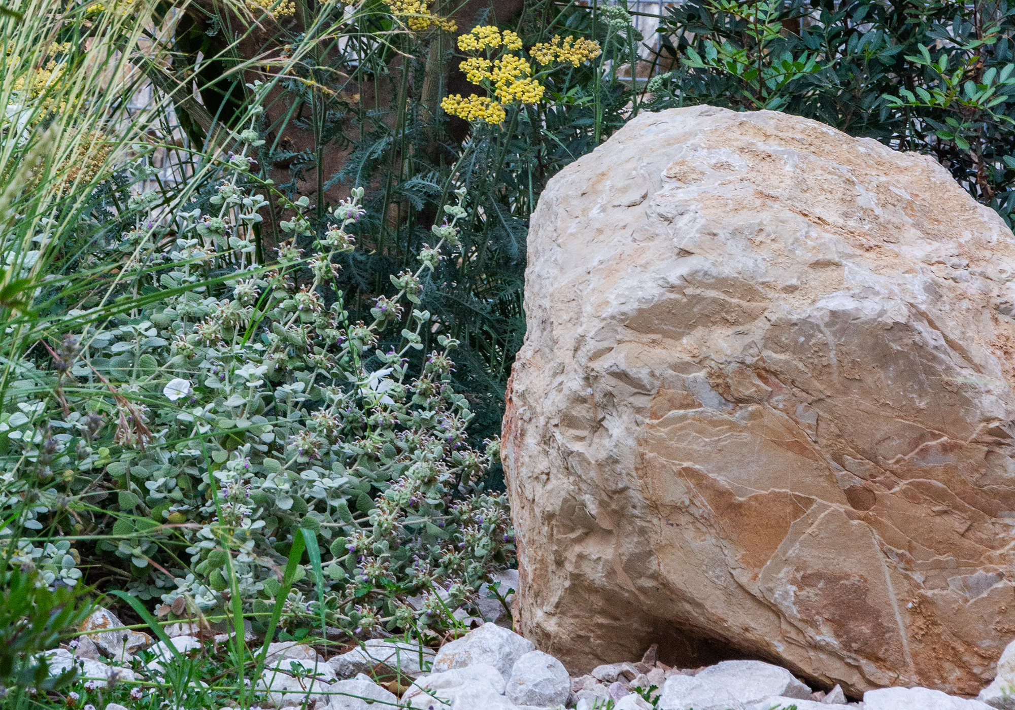 Simbiosi Landscape proyect