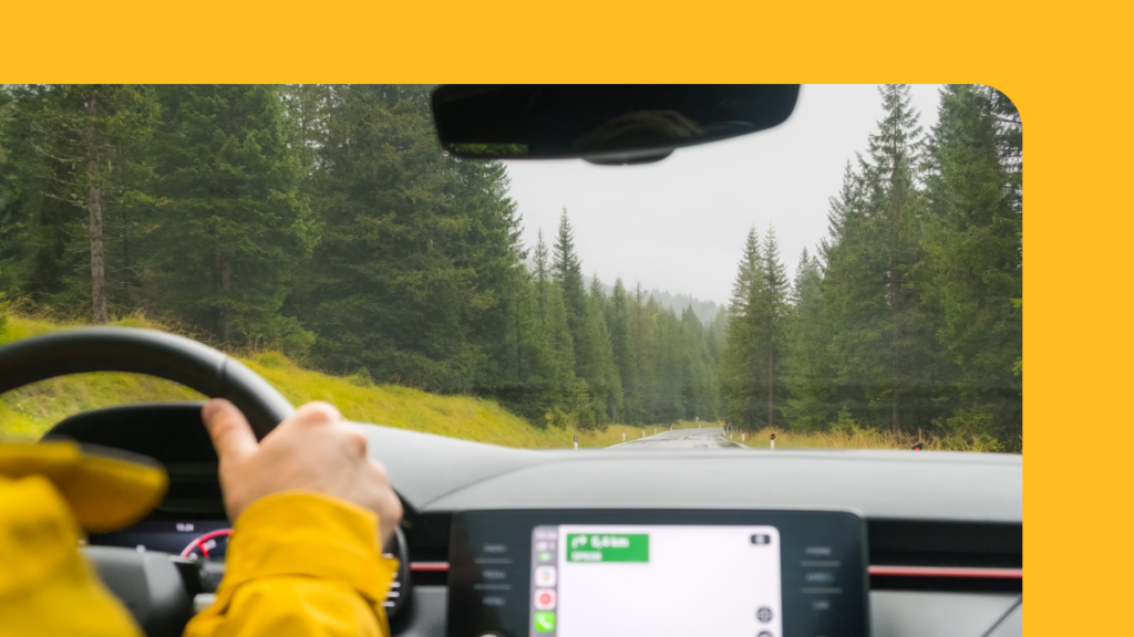 A stylized image of a person driving through the forest